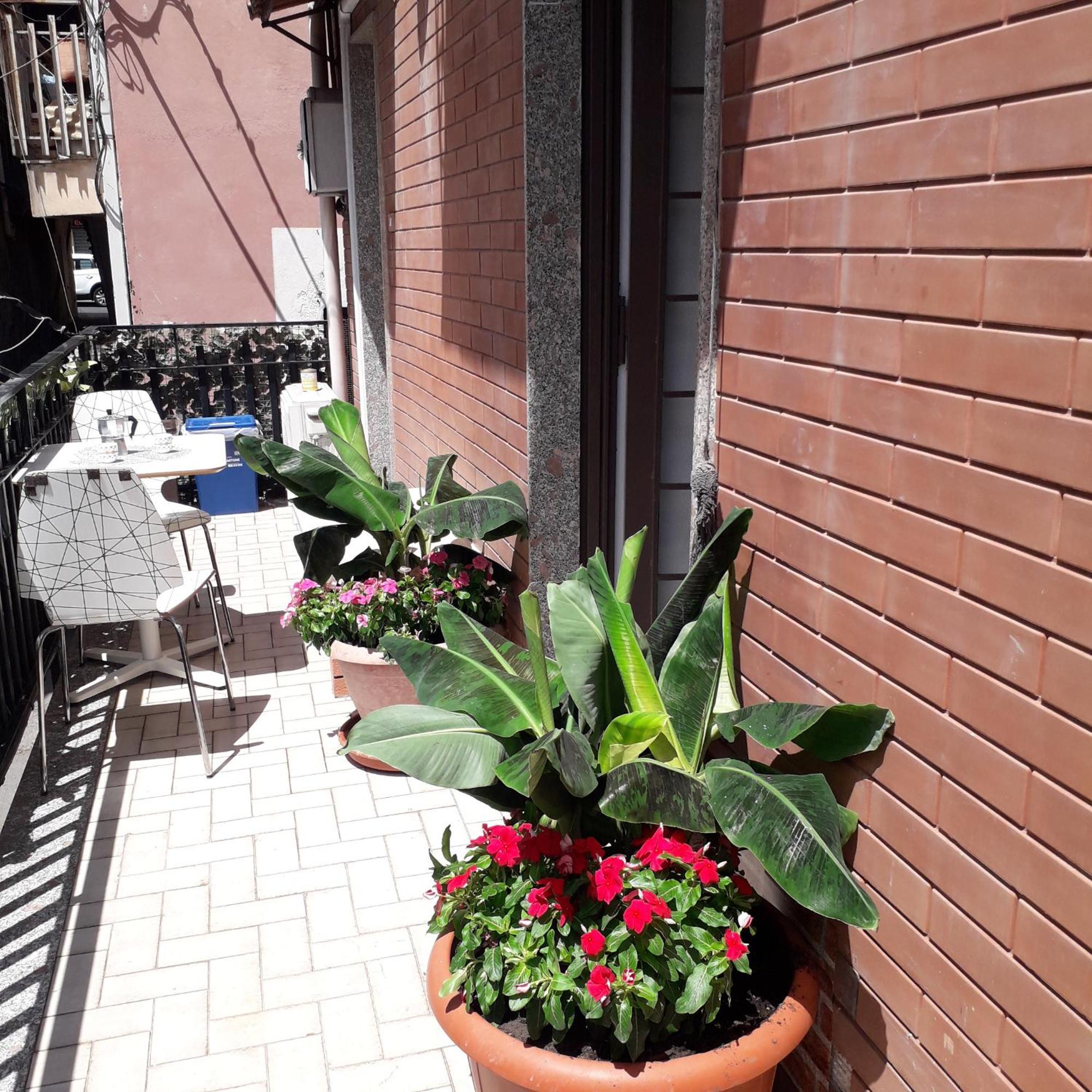 Le Case Del Cortile Catania Exterior photo