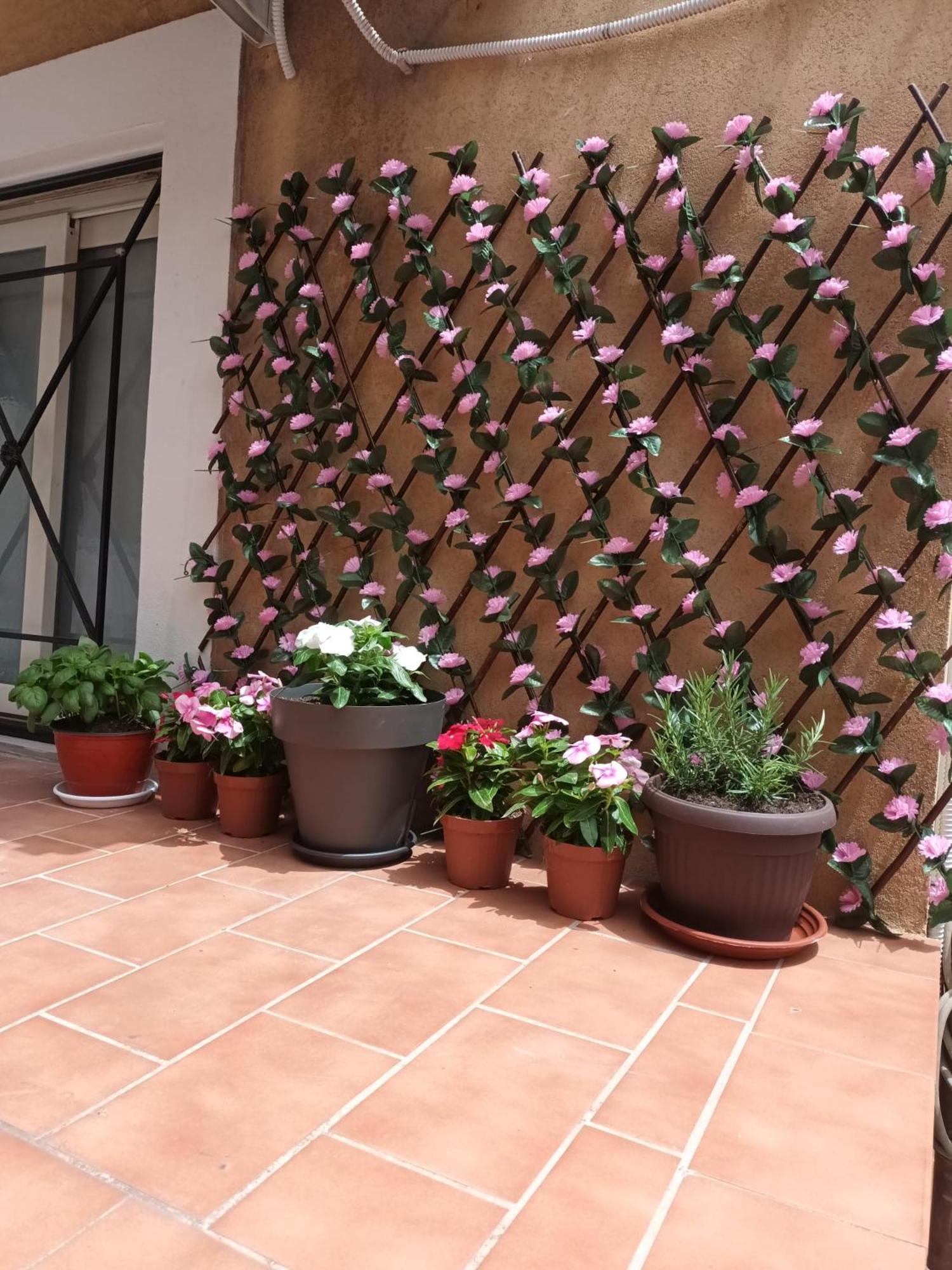 Le Case Del Cortile Catania Exterior photo